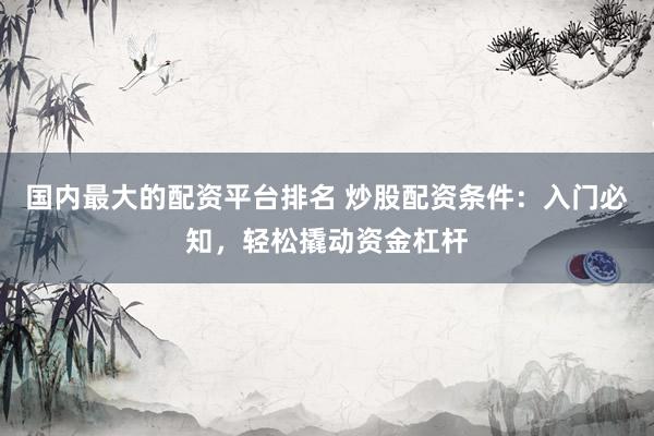国内最大的配资平台排名 炒股配资条件：入门必知，轻松撬动资金杠杆