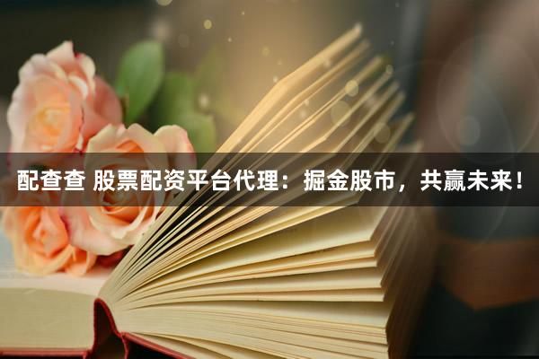 配查查 股票配资平台代理：掘金股市，共赢未来！