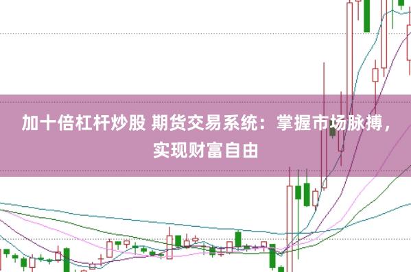 加十倍杠杆炒股 期货交易系统：掌握市场脉搏，实现财富自由