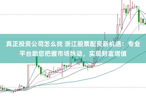 真正投资公司怎么找 浙江股票配资新机遇：专业平台助您把握市场脉动，实现财富增值