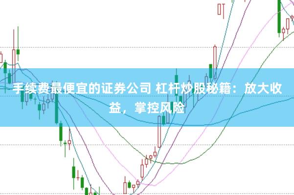 手续费最便宜的证券公司 杠杆炒股秘籍：放大收益，掌控风险