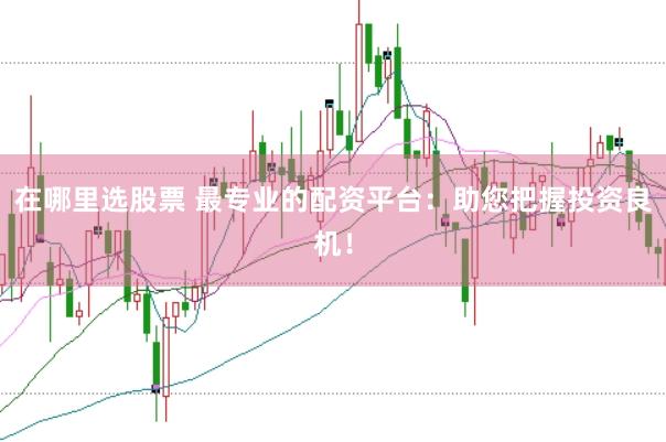 在哪里选股票 最专业的配资平台：助您把握投资良机！