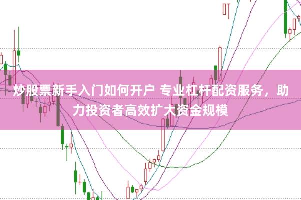 炒股票新手入门如何开户 专业杠杆配资服务,助力投资者高效扩大资金规模
