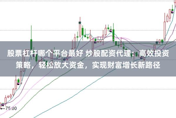 股票杠杆哪个平台最好 炒股配资代理:高效投资策略,轻松放大资金,实现财富增长新路径