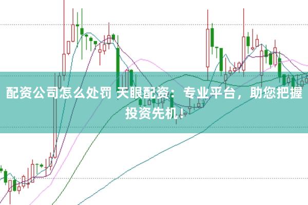 配资公司怎么处罚 天眼配资:专业平台,助您把握投资先机!