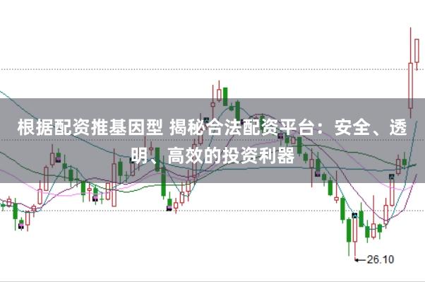 根据配资推基因型 揭秘合法配资平台:安全、透明、高效的投资利器