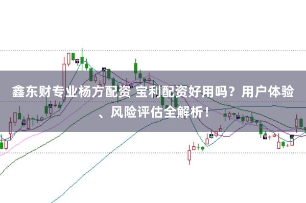鑫东财专业杨方配资 宝利配资好用吗？用户体验、风险评估全解析！