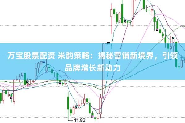 万宝股票配资 米韵策略：揭秘营销新境界，引领品牌增长新动力