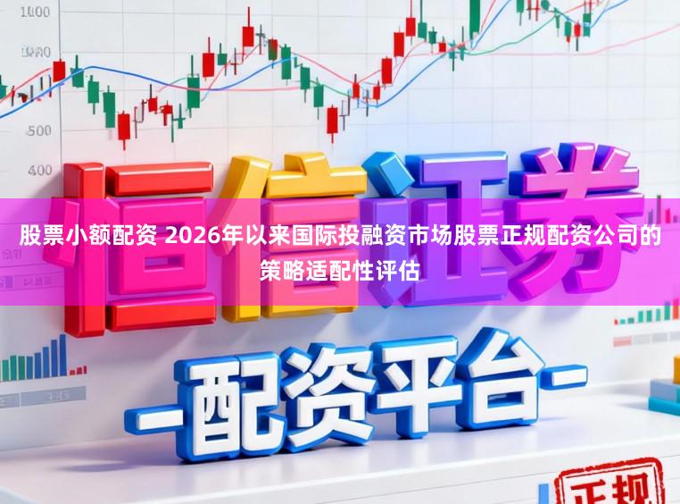 股票小额配资 2026年以来国际投融资市场股票正规配资公司的策略适配性评估