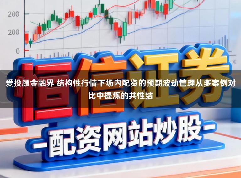 爱投顾金融界 结构性行情下场内配资的预期波动管理从多案例对比中提炼的共性结