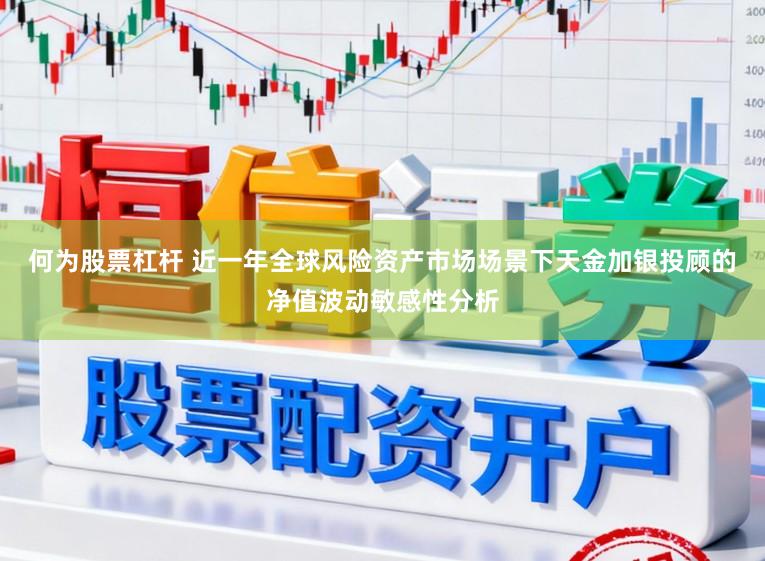 何为股票杠杆 近一年全球风险资产市场场景下天金加银投顾的净值波动敏感性分析