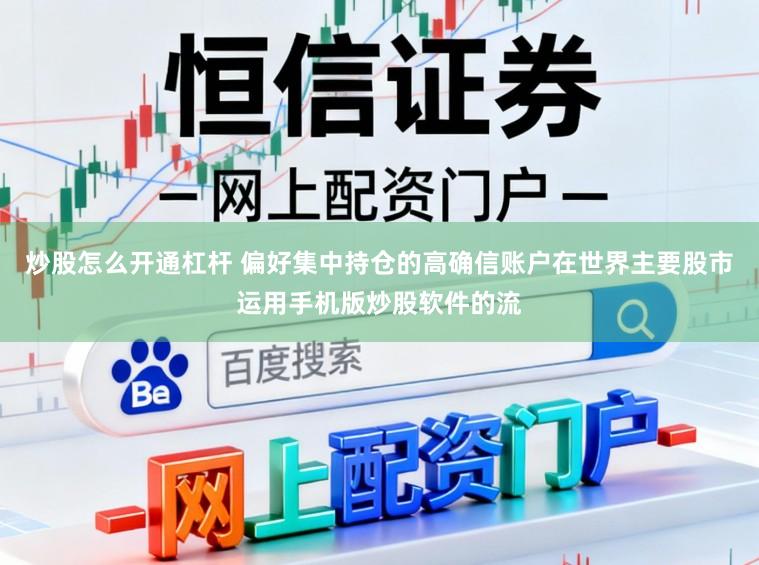 炒股怎么开通杠杆 偏好集中持仓的高确信账户在世界主要股市运用手机版炒股软件的流