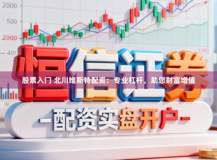 股票入门 北川维斯特配资：专业杠杆，助您财富增值